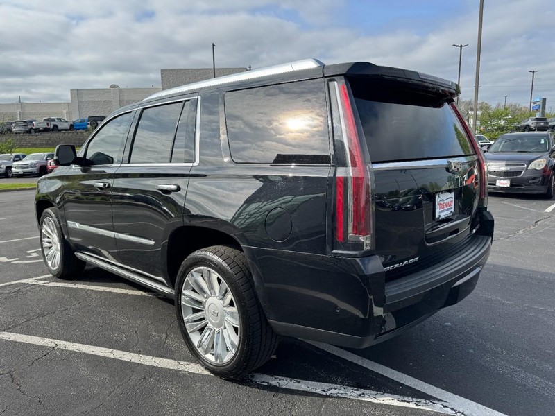 Cadillac Escalade Vehicle Image 05