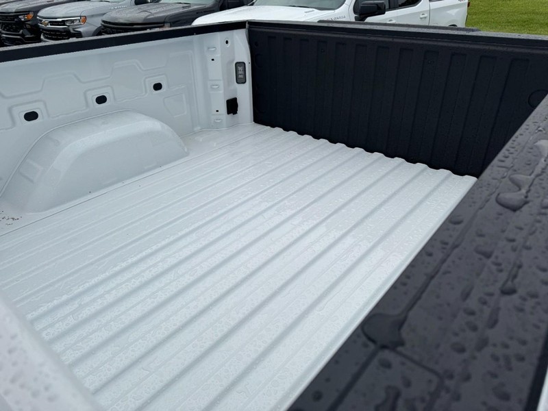 Chevrolet Silverado 1500 Vehicle Image 08