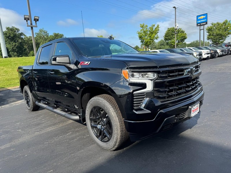 Chevrolet Silverado 1500 Vehicle Image 02