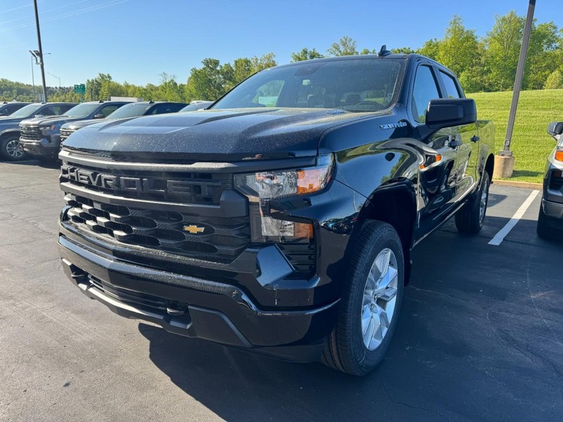 Chevrolet Silverado 1500 Vehicle Image 04