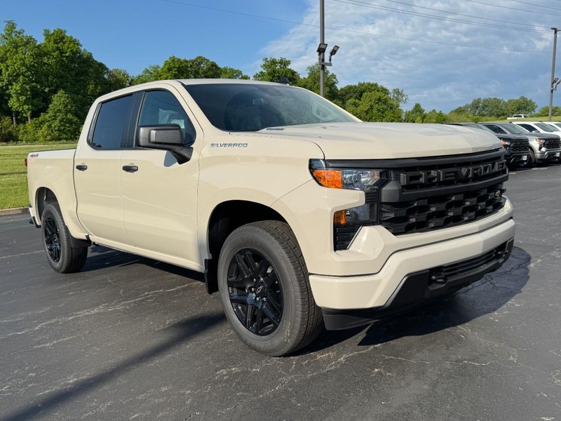 Chevrolet Silverado 1500 Vehicle Image 02