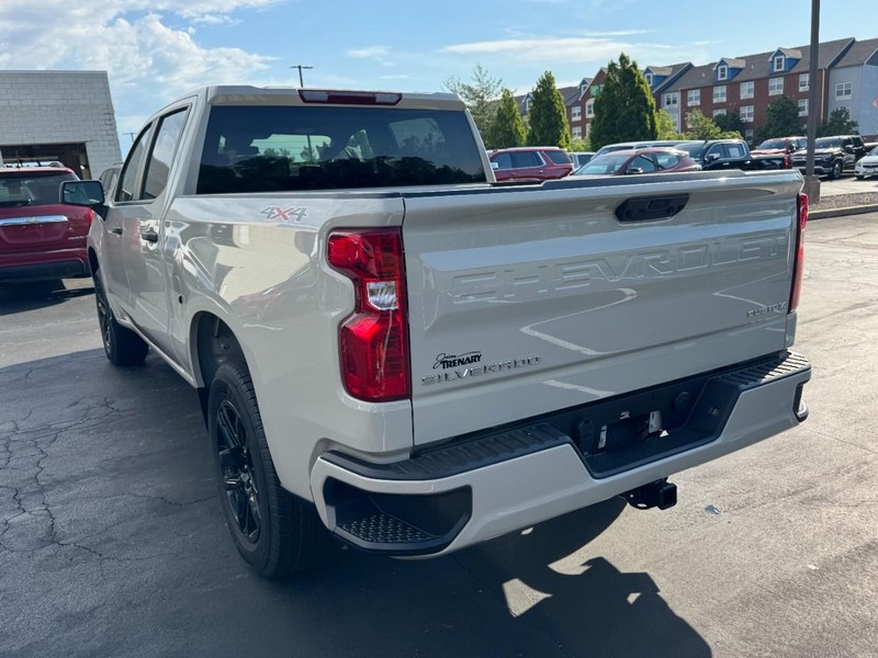 Chevrolet Silverado 1500 Vehicle Image 06