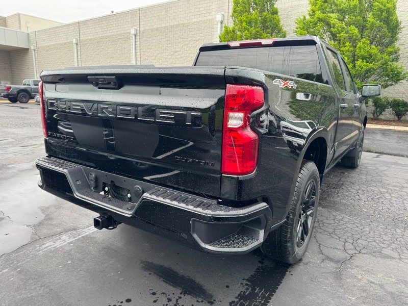 Chevrolet Silverado 1500 Vehicle Image 04