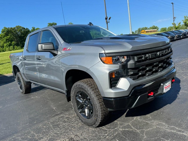 Chevrolet Silverado 1500 Vehicle Image 02