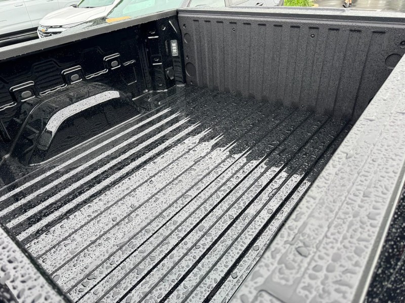 Chevrolet Silverado 1500 Vehicle Image 08