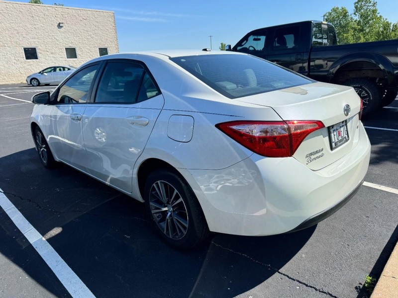 Toyota Corolla Vehicle Image 04
