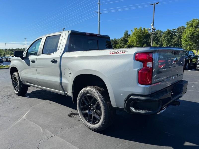 Chevrolet Silverado 1500 Vehicle Image 06