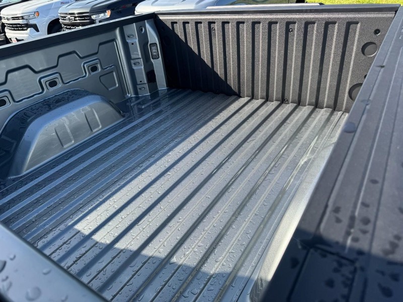 Chevrolet Silverado 1500 Vehicle Image 08