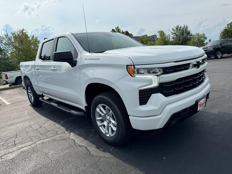 Chevrolet Silverado 1500 Vehicle Image 02