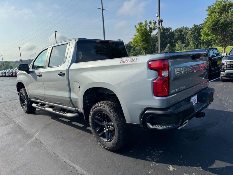 Chevrolet Silverado 1500 Vehicle Image 06