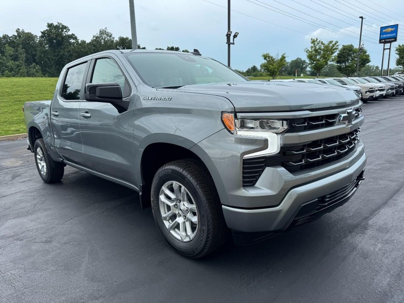 Chevrolet Silverado 1500 Vehicle Image 02
