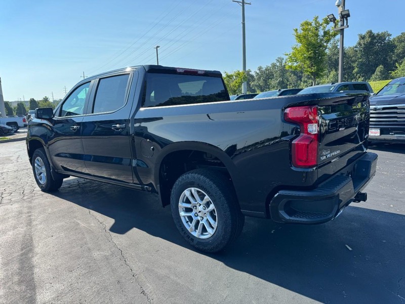 Chevrolet Silverado 1500 Vehicle Image 06