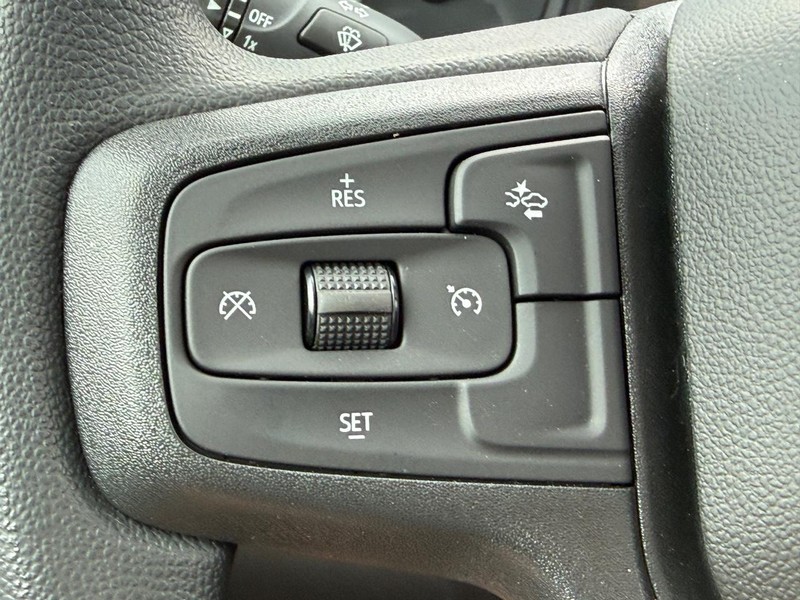Chevrolet Silverado 1500 Vehicle Image 09
