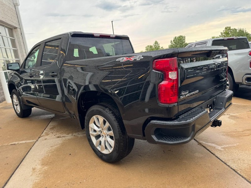 Chevrolet Silverado 1500 Vehicle Image 06