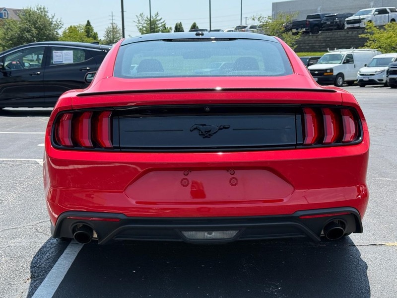 Ford Mustang Vehicle Image 04