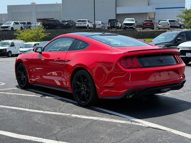 Ford Mustang Vehicle Image 05