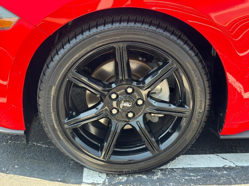 Ford Mustang Vehicle Image 07