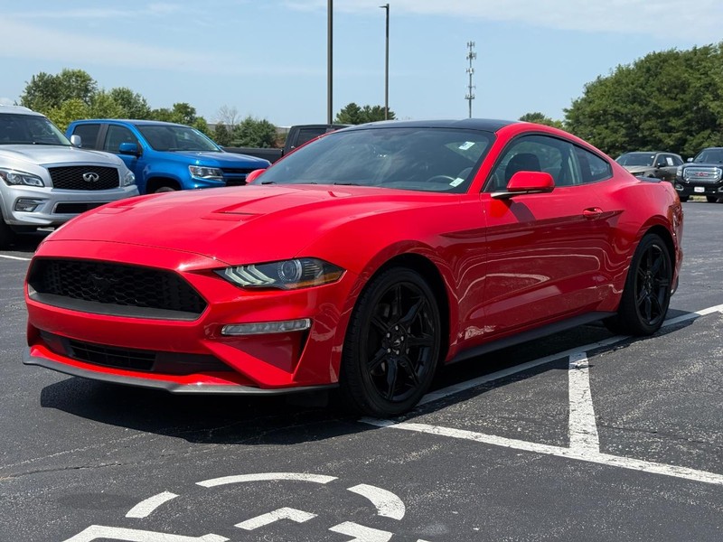 Ford Mustang Vehicle Image 08