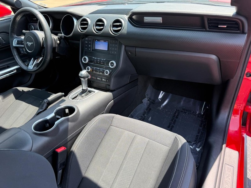 Ford Mustang Vehicle Image 11