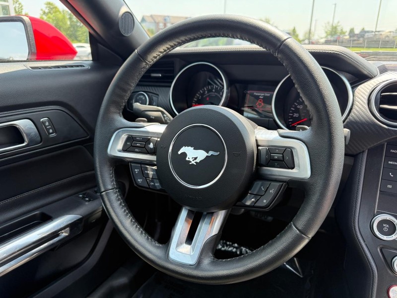 Ford Mustang Vehicle Image 12