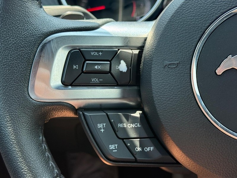 Ford Mustang Vehicle Image 13