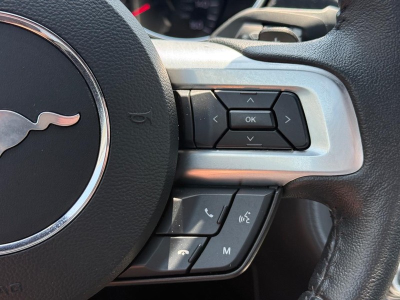 Ford Mustang Vehicle Image 14