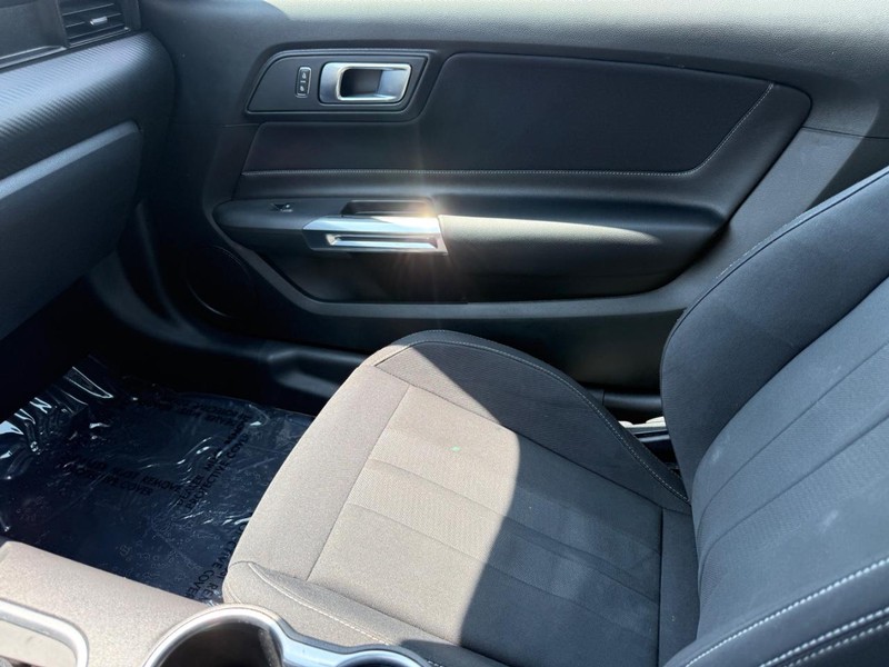 Ford Mustang Vehicle Image 19