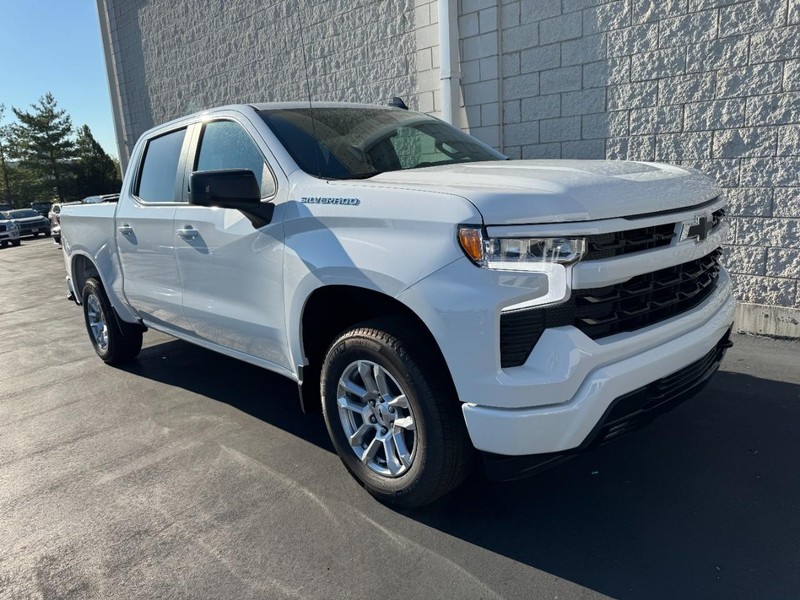 Chevrolet Silverado 1500 Vehicle Image 02