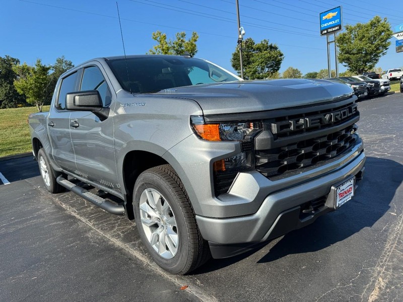 Chevrolet Silverado 1500 Vehicle Image 02