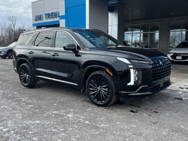 Used 2024 Hyundai Palisade Calligraphy Night Edition with VIN KM8R7DGE0RU705703 for sale in Troy, MO