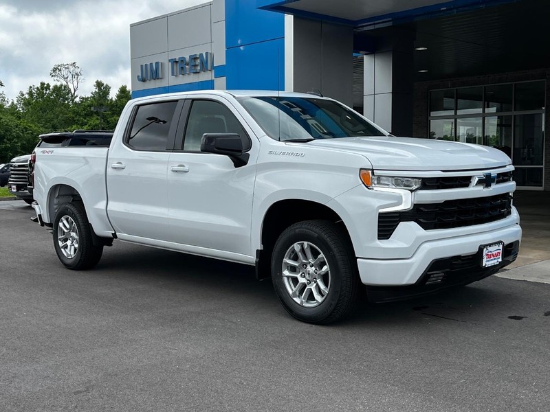 Chevrolet Silverado 1500 Vehicle Image 02