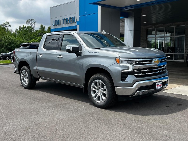 Chevrolet Silverado 1500 Vehicle Image 02