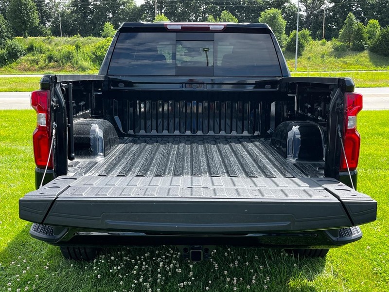 Chevrolet Silverado 1500 Vehicle Image 05