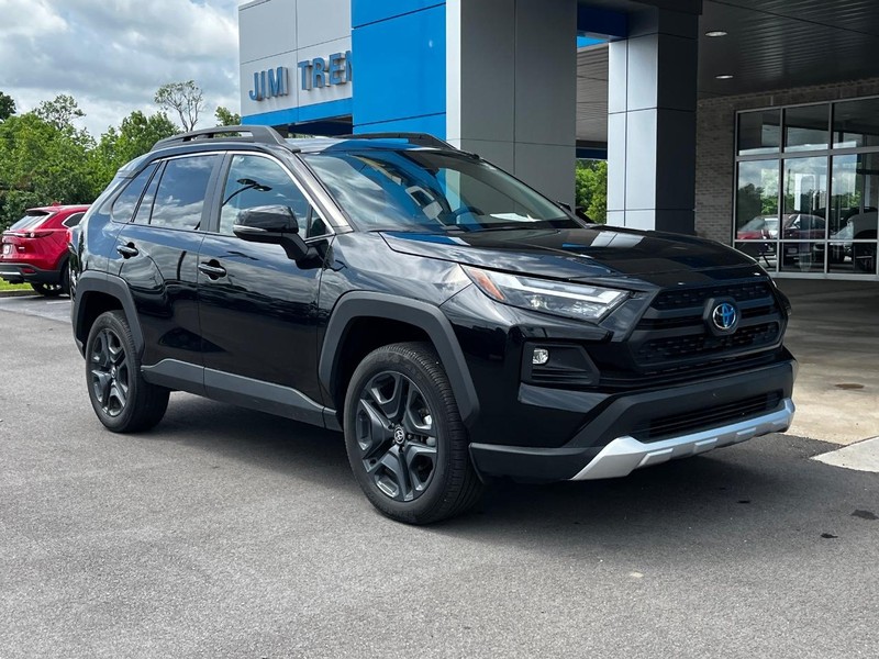 Toyota RAV4 Vehicle Image 02