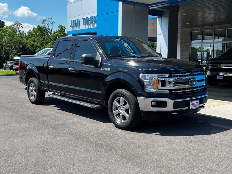 Ford F-150 Vehicle Image 02