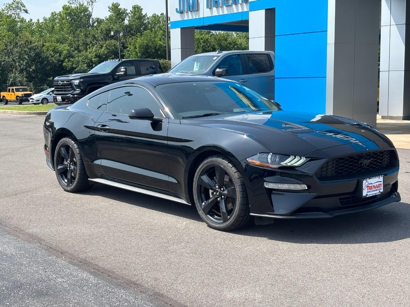 Ford Mustang Vehicle Image 02