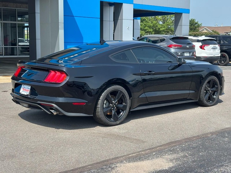 Ford Mustang Vehicle Image 03