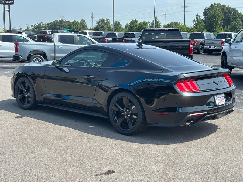 Ford Mustang Vehicle Image 06