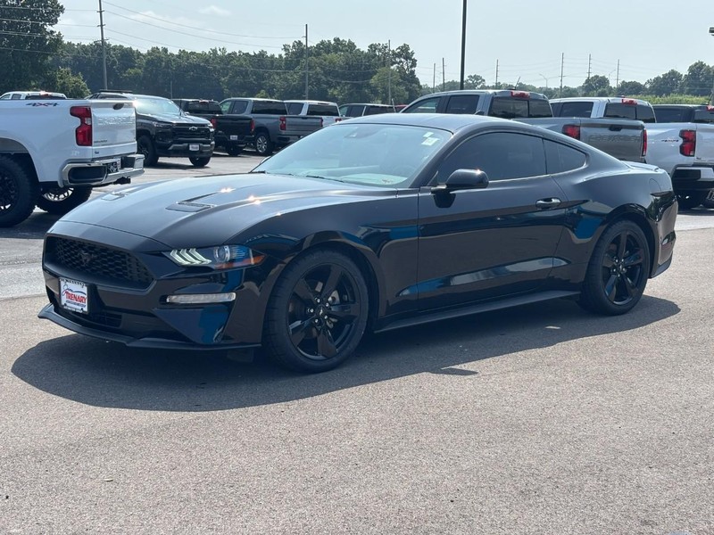Ford Mustang Vehicle Image 08