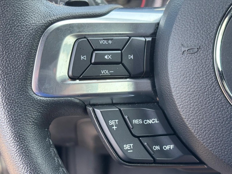 Ford Mustang Vehicle Image 13