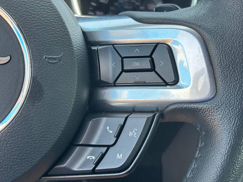 Ford Mustang Vehicle Image 14