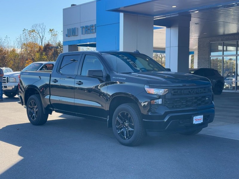 Chevrolet Silverado 1500 Vehicle Image 02