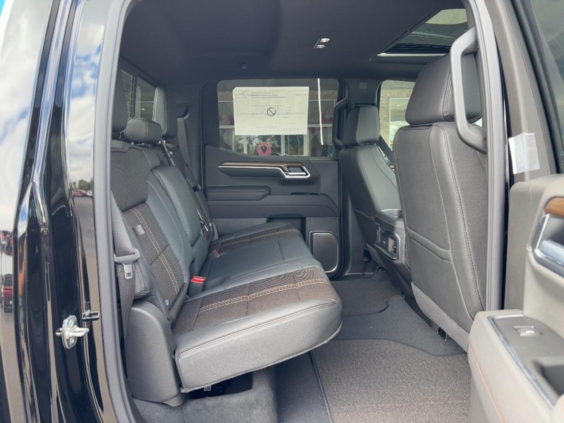 Chevrolet Silverado 1500 Vehicle Image 05