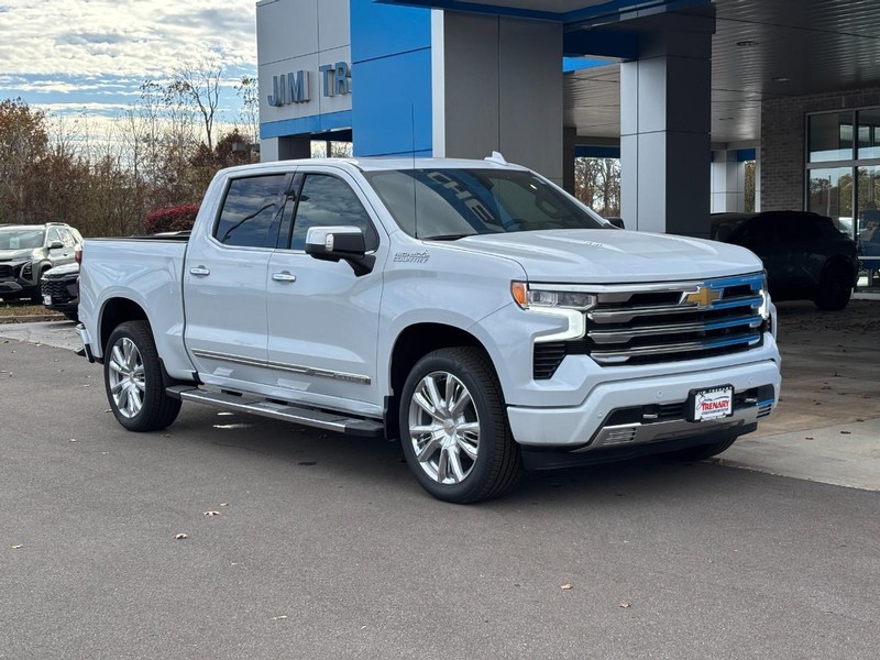 Chevrolet Silverado 1500 Vehicle Image 02
