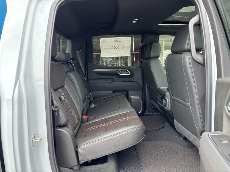 Chevrolet Silverado 1500 Vehicle Image 05