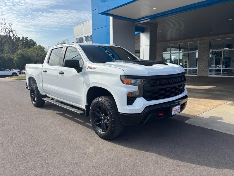 Chevrolet Silverado 1500 Vehicle Full-screen Gallery Image 02