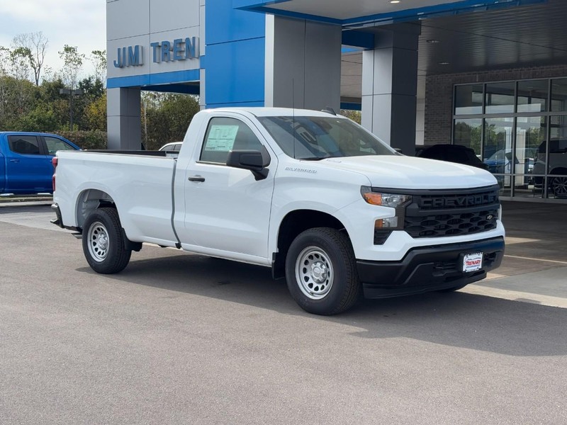 Chevrolet Silverado 1500 Vehicle Image 02