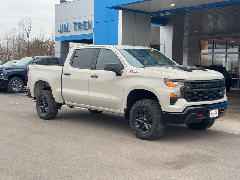 Chevrolet Silverado 1500 Vehicle Image 02