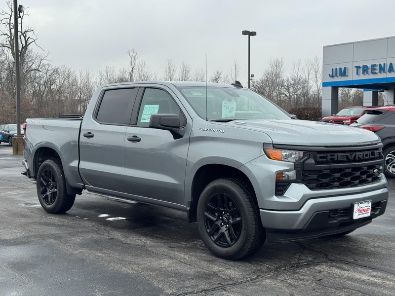 Chevrolet Silverado 1500 Vehicle Image 02