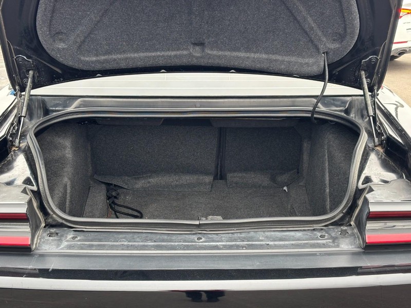 Dodge Challenger Vehicle Image 05